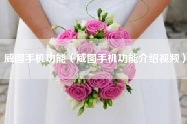 威图手机功能（威图手机功能介绍视频）