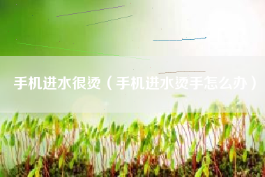 手机进水很烫（手机进水烫手怎么办）