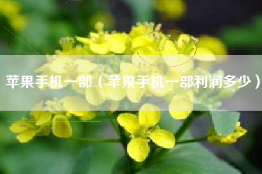 苹果手机一部（苹果手机一部利润多少）