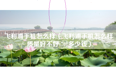 飞利浦手机怎么样（飞利浦手机怎么样质量好不好s701多少钱）