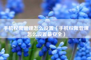 手机权限管理怎么设置（手机权限管理怎么设置最安全）