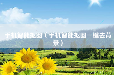手机智能抠图（手机智能抠图一键去背景）