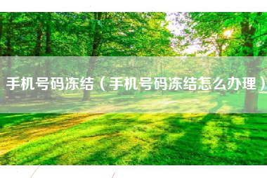 手机号码冻结（手机号码冻结怎么办理）