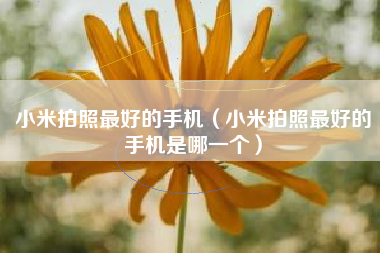 小米拍照最好的手机（小米拍照最好的手机是哪一个）