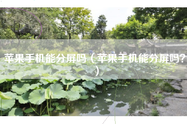 苹果手机能分屏吗（苹果手机能分屏吗？）