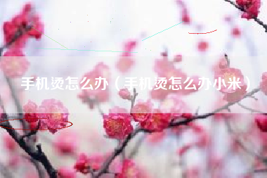 手机烫怎么办（手机烫怎么办小米）