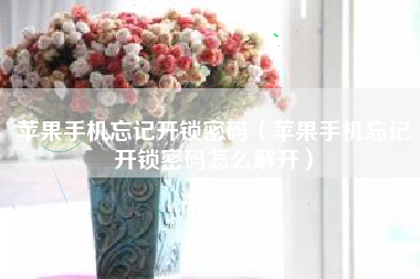 苹果手机忘记开锁密码（苹果手机忘记开锁密码怎么解开）