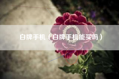 白牌手机（白牌手机能买吗）
