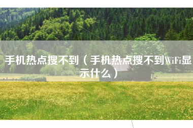 手机热点搜不到（手机热点搜不到WiFi显示什么）