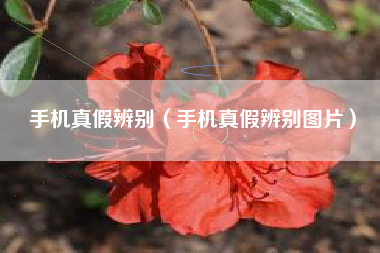 手机真假辨别（手机真假辨别图片）