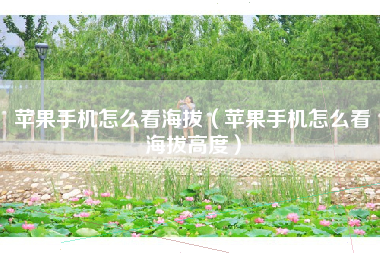 苹果手机怎么看海拔（苹果手机怎么看海拔高度）