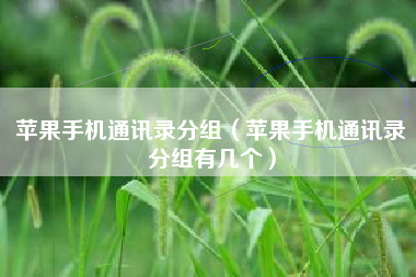苹果手机通讯录分组（苹果手机通讯录分组有几个）