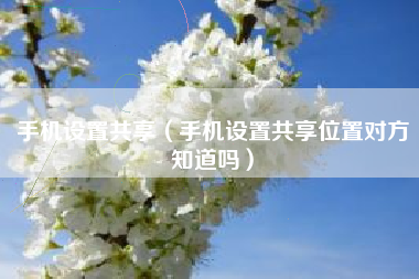 手机设置共享（手机设置共享位置对方知道吗）