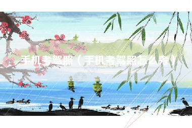 手机考驾照（手机考驾照怎么考）