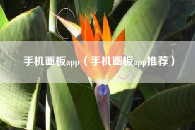 手机画板app（手机画板app推荐）
