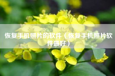恢复手机照片的软件（恢复手机照片软件最好）