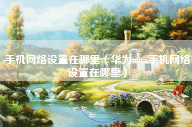 手机网络设置在哪里（华为nova手机网络设置在哪里）