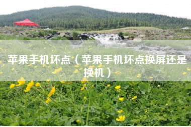 苹果手机坏点（苹果手机坏点换屏还是换机）