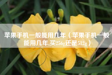 苹果手机一般能用几年（苹果手机一般能用几年,买256g还是512g）