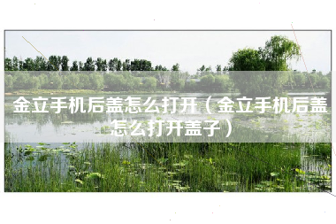 金立手机后盖怎么打开（金立手机后盖怎么打开盖子）