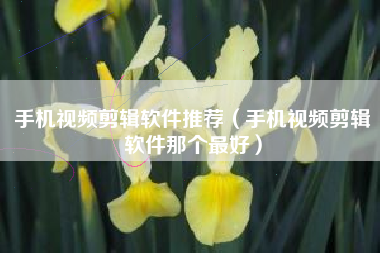 手机视频剪辑软件推荐（手机视频剪辑软件那个最好）