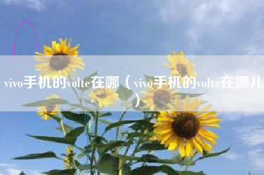 vivo手机的volte在哪（vivo手机的volte在哪儿）
