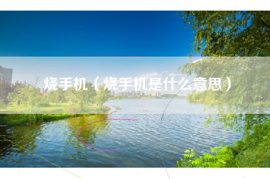 烧手机（烧手机是什么意思）