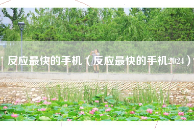反应最快的手机（反应最快的手机2024）