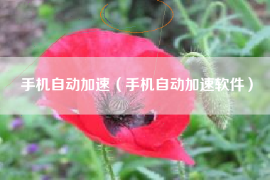 手机自动加速（手机自动加速软件）