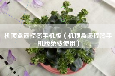 机顶盒遥控器手机版（机顶盒遥控器手机版免费使用）