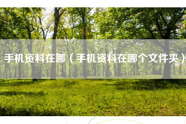 手机资料在哪（手机资料在哪个文件夹）