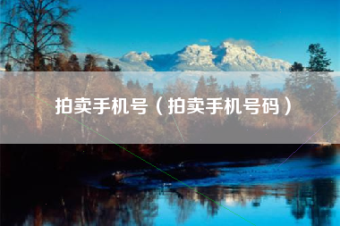 拍卖手机号（拍卖手机号码）