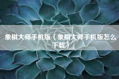 象棋大师手机版（象棋大师手机版怎么下载）