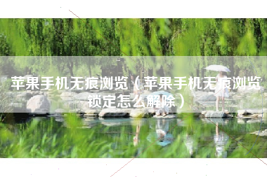 苹果手机无痕浏览（苹果手机无痕浏览锁定怎么解除）