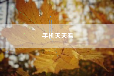 手机天天看