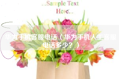 华为手机客服电话（华为手机人工客服电话多少？）