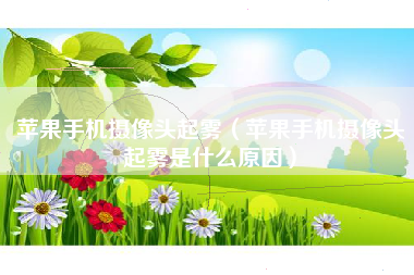 苹果手机摄像头起雾（苹果手机摄像头起雾是什么原因）