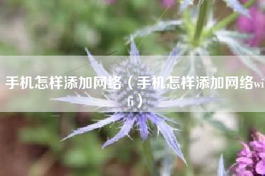 手机怎样添加网络（手机怎样添加网络wifi）