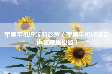 苹果手机好听的铃声（苹果手机好听铃声在哪里设置）