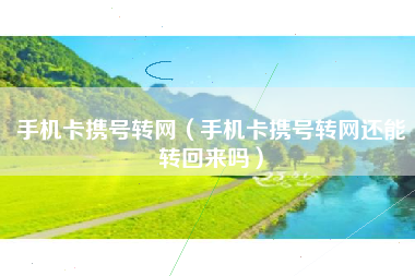 手机卡携号转网（手机卡携号转网还能转回来吗）