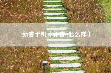 新睿手机（新睿it怎么样）