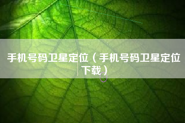 手机号码卫星定位（手机号码卫星定位下载）