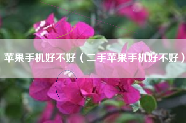 苹果手机好不好（二手苹果手机好不好）