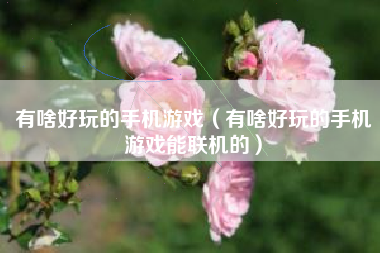 有啥好玩的手机游戏（有啥好玩的手机游戏能联机的）
