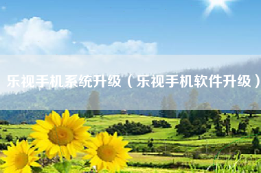 乐视手机系统升级（乐视手机软件升级）