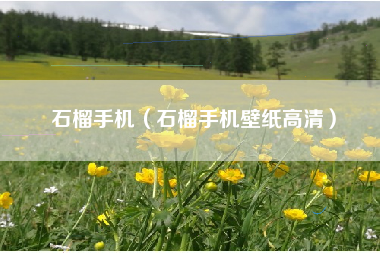 石榴手机（石榴手机壁纸高清）