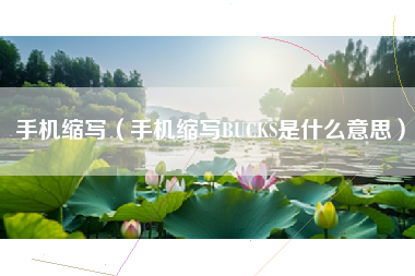 手机缩写（手机缩写BUCKS是什么意思）