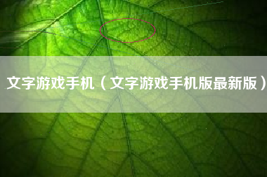 文字游戏手机（文字游戏手机版最新版）