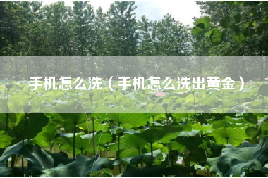 手机怎么洗（手机怎么洗出黄金）