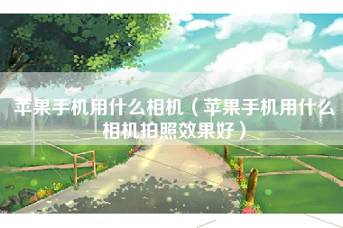 苹果手机用什么相机（苹果手机用什么相机拍照效果好）